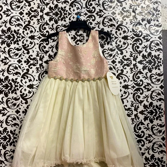 open lace back dress American Princess Dresses Girls Kids' Closets 5years  Kids' Clothing &  Accessories